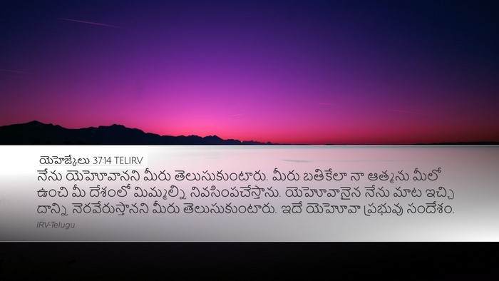 యెహెజ్కేలు 37:14 TELIRV Bible Verse Image