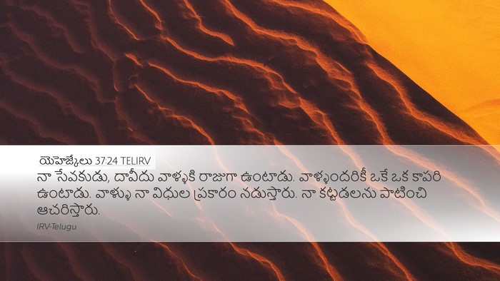 యెహెజ్కేలు 37:24 TELIRV Bible Verse Image
