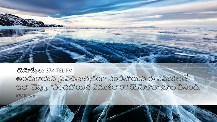 యెహెజ్కేలు 37:4 TELIRV Bible Verse Image