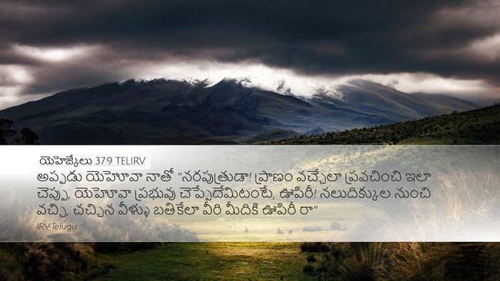 యెహెజ్కేలు 37:9 TELIRV Bible Verse Image