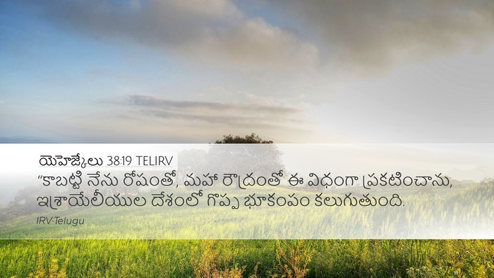 యెహెజ్కేలు 38:19 TELIRV Bible Verse Image