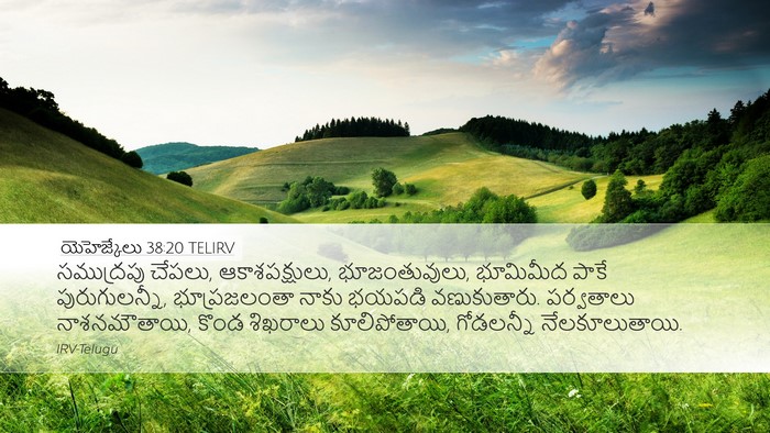 యెహెజ్కేలు 38:20 TELIRV Bible Verse Image