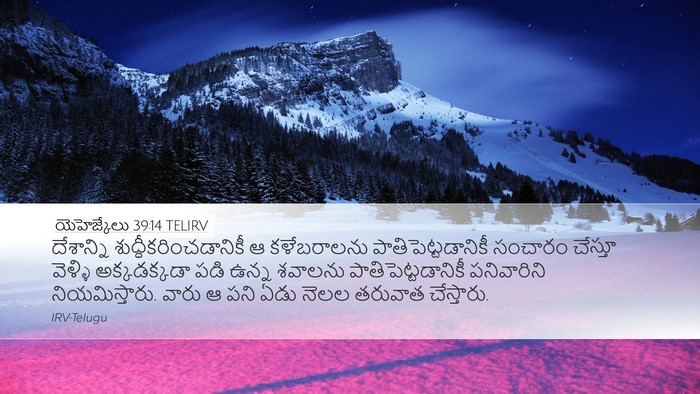 యెహెజ్కేలు 39:14 TELIRV Bible Verse Image