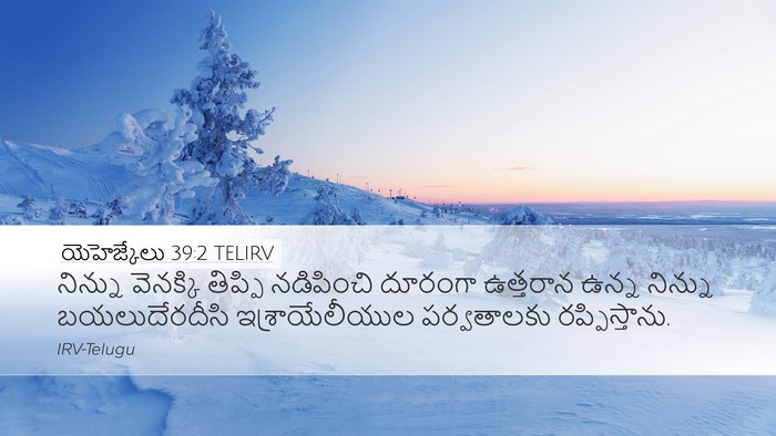 యెహెజ్కేలు 39:2 TELIRV Desktop Wallpaper - నిన్ను వెనక్కి - Desktop Bible Verse Wallpaper