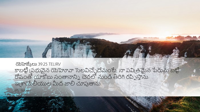 యెహెజ్కేలు 39:25 TELIRV Bible Verse Image