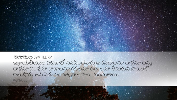 యెహెజ్కేలు 39:9 TELIRV Desktop Wallpaper - ఇశ్రాయేలీయుల - Desktop Bible Verse Wallpaper