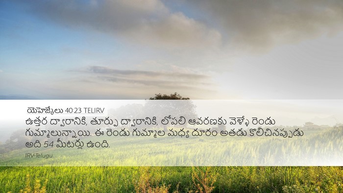 యెహెజ్కేలు 40:23 TELIRV Bible Verse Image