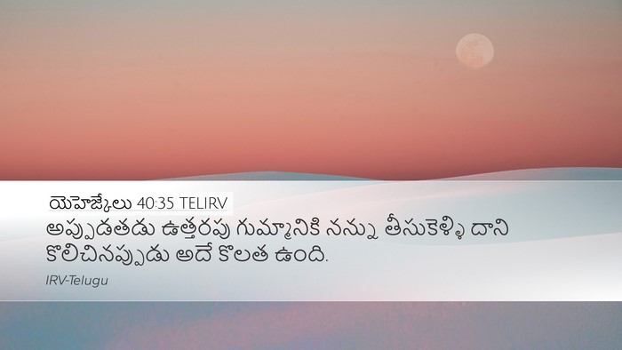యెహెజ్కేలు 40:35 TELIRV Bible Verse Image