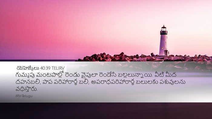 యెహెజ్కేలు 40:39 TELIRV Bible Verse Image