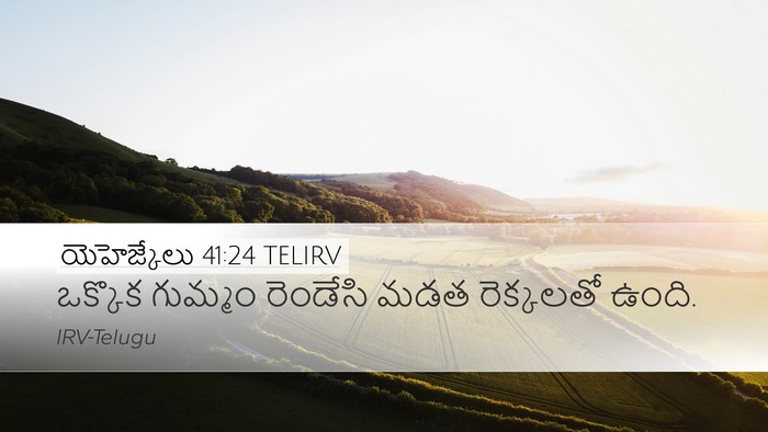 యెహెజ్కేలు 41:24 TELIRV Desktop Wallpaper - ఒక్కొక గుమ్మం - Desktop Bible Verse Wallpaper