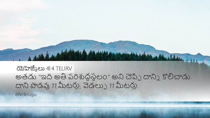 యెహెజ్కేలు 41:4 TELIRV Desktop Wallpaper - అతడు “ఇది అతి - Desktop Bible Verse Wallpaper