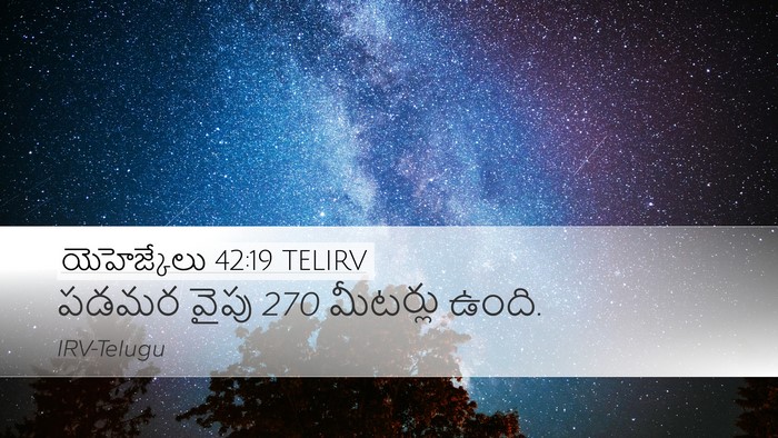 యెహెజ్కేలు 42:19 TELIRV Bible Verse Image