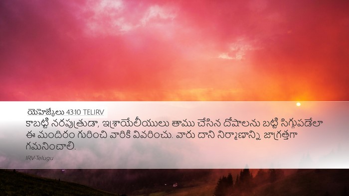 యెహెజ్కేలు 43:10 TELIRV Bible Verse Image