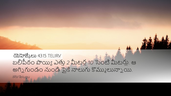 యెహెజ్కేలు 43:15 TELIRV Bible Verse Image