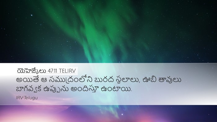 యెహెజ్కేలు 47:11 TELIRV Bible Verse Image
