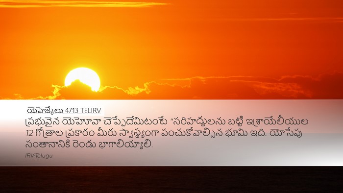 యెహెజ్కేలు 47:13 TELIRV Bible Verse Image