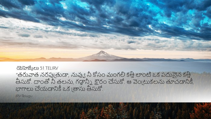 యెహెజ్కేలు 5:1 TELIRV Bible Verse Image
