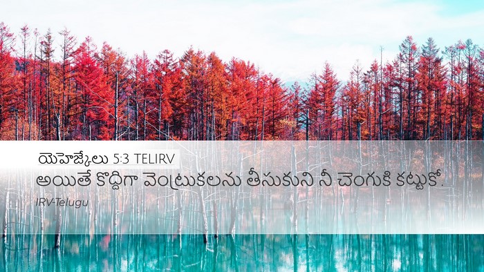 యెహెజ్కేలు 5:3 TELIRV Bible Verse Image