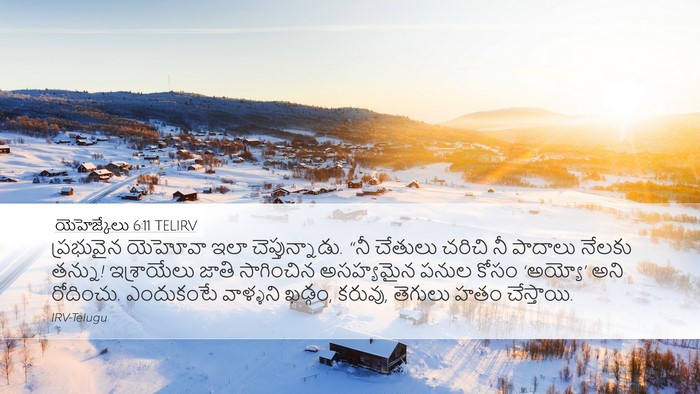 యెహెజ్కేలు 6:11 TELIRV Bible Verse Image