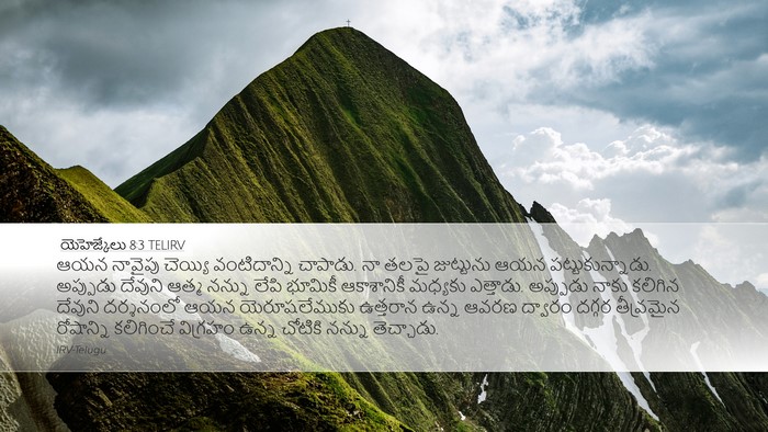 యెహెజ్కేలు 8:3 TELIRV Bible Verse Image