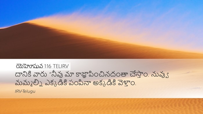 యెహోషువ 1:16 TELIRV Bible Verse Image