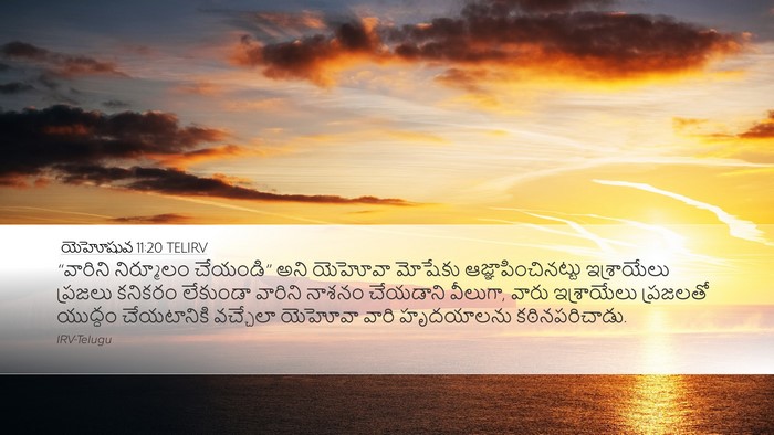 యెహోషువ 11:20 TELIRV Bible Verse Image