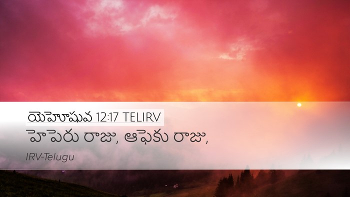 యెహోషువ 12:17 TELIRV Bible Verse Image
