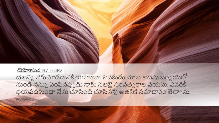 యెహోషువ 14:7 TELIRV Desktop Wallpaper - దేశాన్ని - Desktop Bible Verse Wallpaper