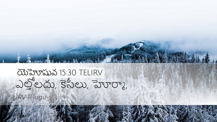 యెహోషువ 15:30 TELIRV Desktop Wallpaper - ఎల్తోలదు, కెసీలు, - Desktop Bible Verse Wallpaper