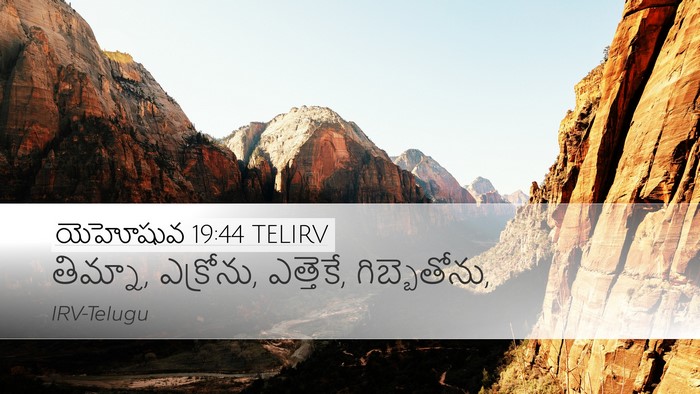 యెహోషువ 19:44 TELIRV Bible Verse Image
