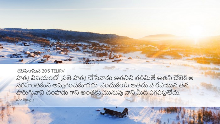 యెహోషువ 20:5 TELIRV Desktop Wallpaper - హత్య విషయంలో - Desktop Bible Verse Wallpaper