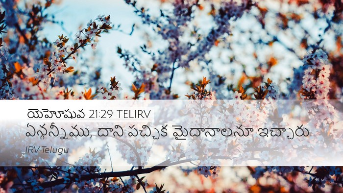 యెహోషువ 21:29 TELIRV Bible Verse Image