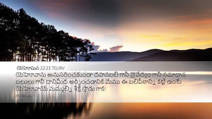 యెహోషువ 22:23 TELIRV Desktop Wallpaper - యెహోవాను - Desktop Bible Verse Wallpaper