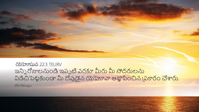 యెహోషువ 22:3 TELIRV Desktop Wallpaper - ఇన్నిరోజులనుండి - Desktop Bible Verse Wallpaper
