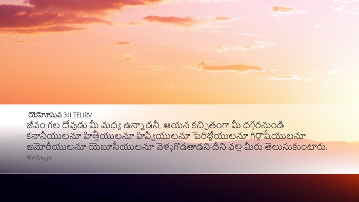 యెహోషువ 3:11 TELIRV Bible Verse Image