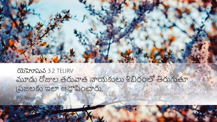 యెహోషువ 3:2 TELIRV Desktop Wallpaper - మూడు రోజుల తరువాత - Desktop Bible Verse Wallpaper