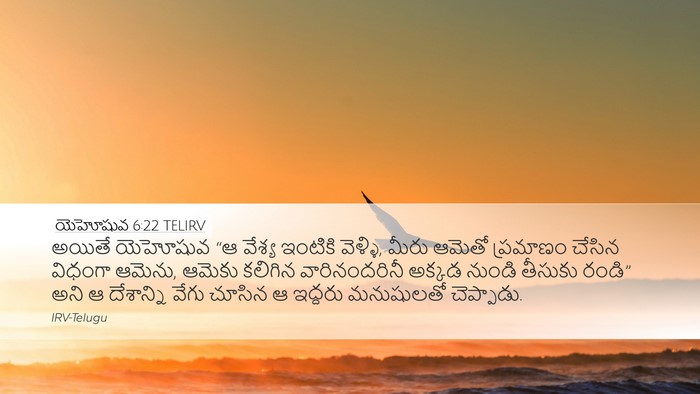యెహోషువ 6:22 TELIRV Bible Verse Image