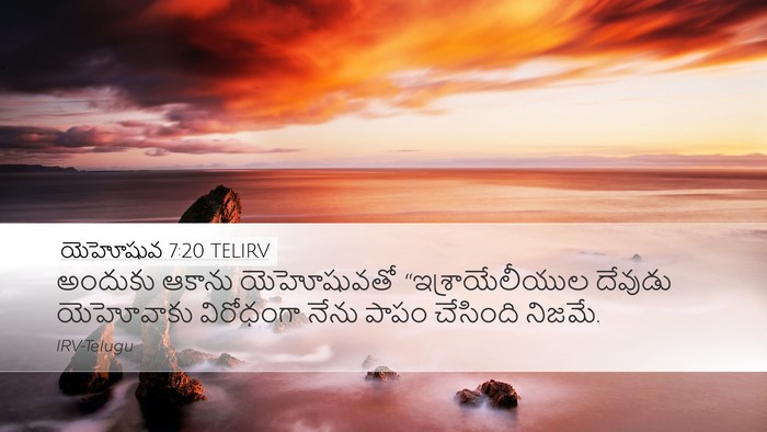యెహోషువ 7:20 TELIRV Desktop Wallpaper - అందుకు ఆకాను - Desktop Bible Verse Wallpaper