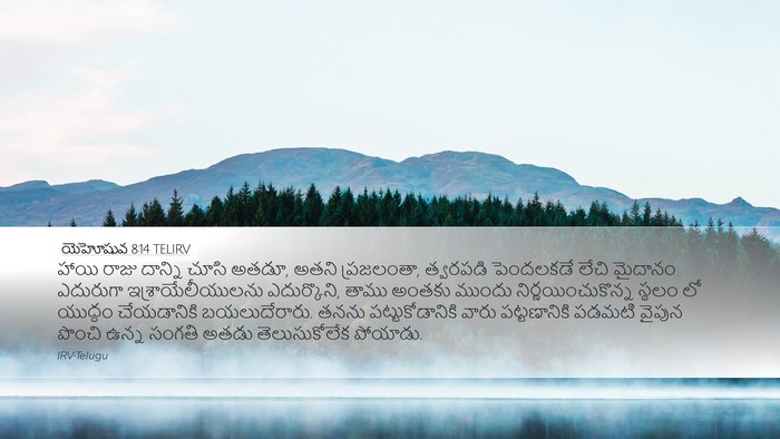 యెహోషువ 8:14 TELIRV Desktop Wallpaper - హాయి రాజు దాన్ని - Desktop Bible Verse Wallpaper