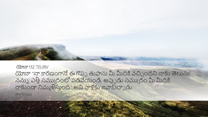 యోనా 1:12 TELIRV Bible Verse Image