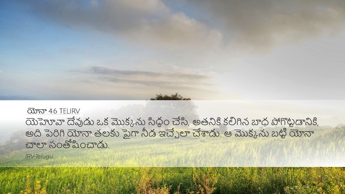 యోనా 4:6 TELIRV Bible Verse Image