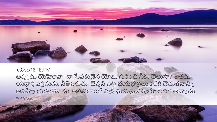 యోబు 1:8 TELIRV Bible Verse Image