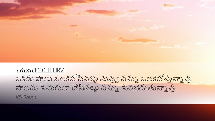 యోబు 10:10 TELIRV Bible Verse Image