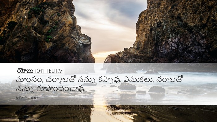 యోబు 10:11 TELIRV Desktop Wallpaper - మాంసం, చర్మాలతో - Desktop Bible Verse Wallpaper