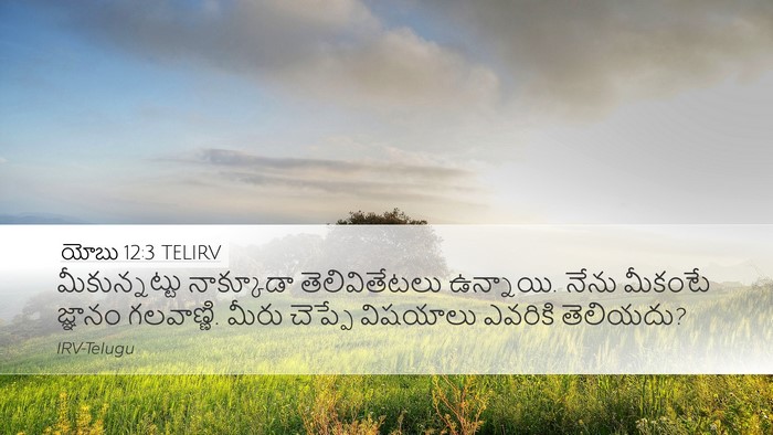 యోబు 12:3 TELIRV Bible Verse Image