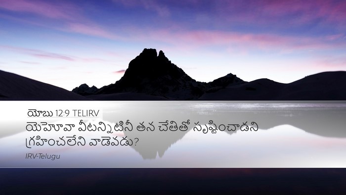 యోబు 12:9 TELIRV Bible Verse Image