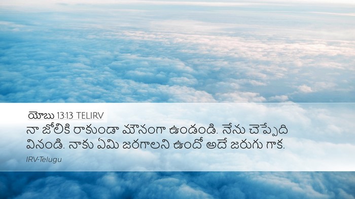 యోబు 13:13 TELIRV Bible Verse Image