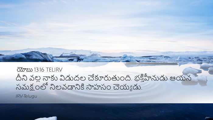 యోబు 13:16 TELIRV Bible Verse Image