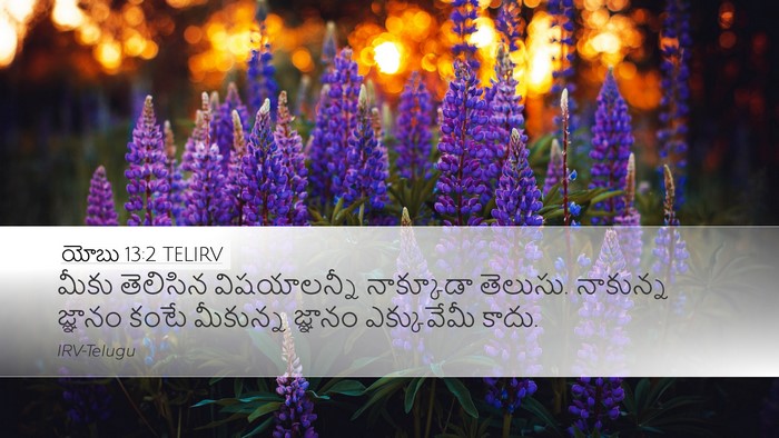 యోబు 13:2 TELIRV Bible Verse Image