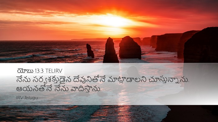 యోబు 13:3 TELIRV Desktop Wallpaper - నేను సర్వశక్తుడైన - Desktop Bible Verse Wallpaper